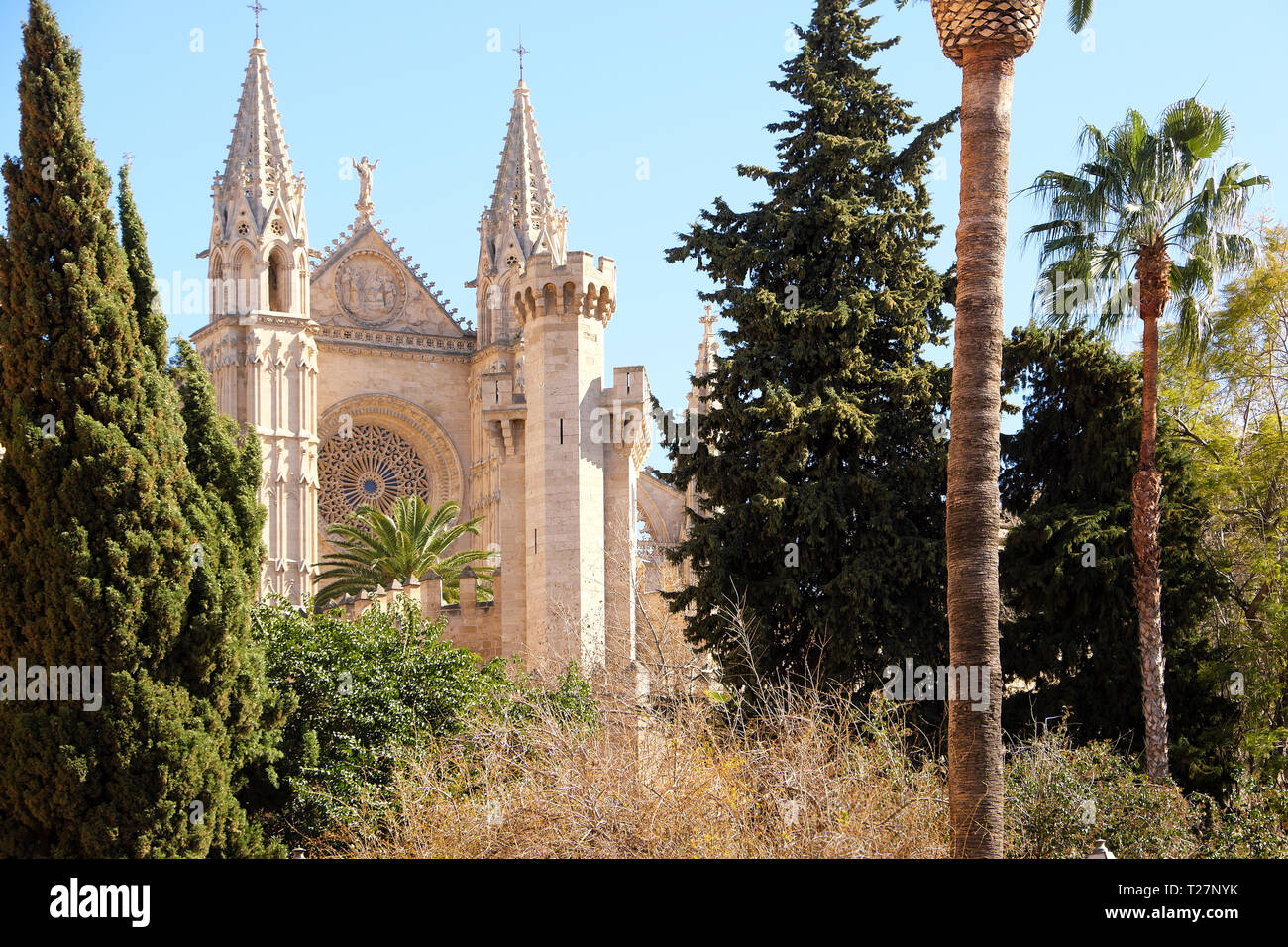 Palma Mallorca Cattedrale Santa Maria La Seu vista frontale rosone Foto Stock