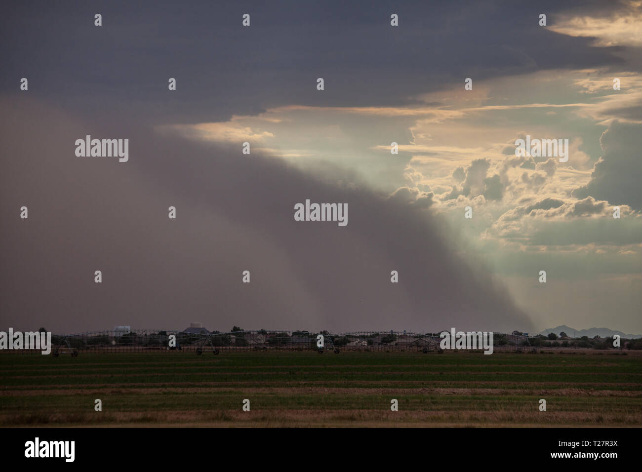 Casa Grande, Pinal County, Arizona, Stati Uniti d'America Foto Stock