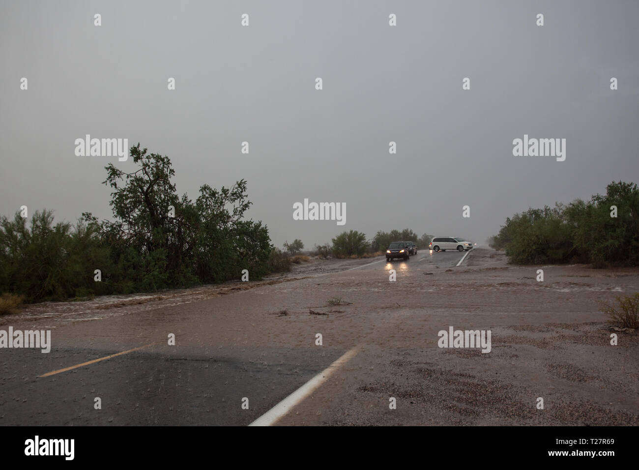 Casa Grande, Pinal County, Arizona, Stati Uniti d'America Foto Stock