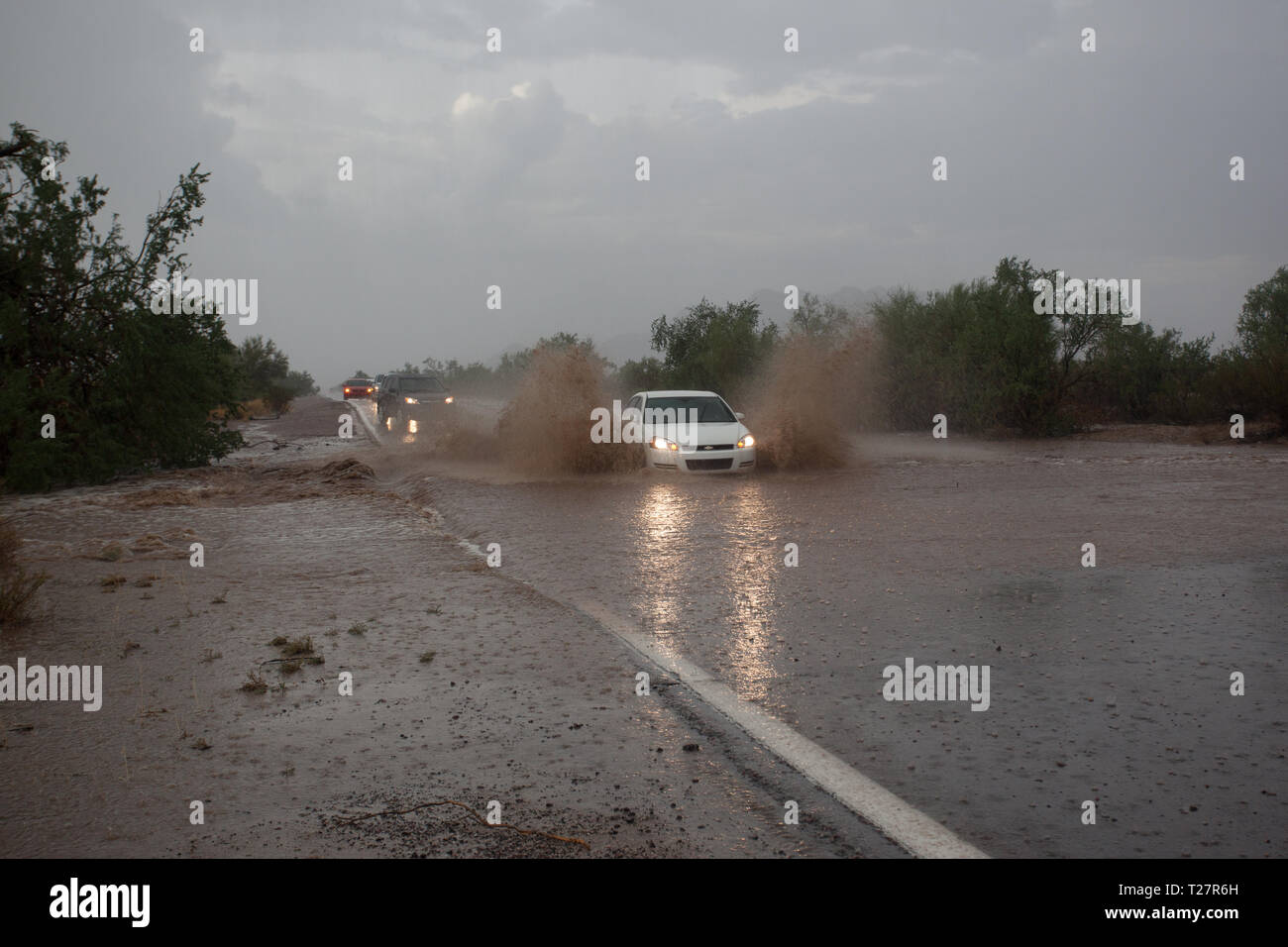 Casa Grande, Pinal County, Arizona, Stati Uniti d'America Foto Stock