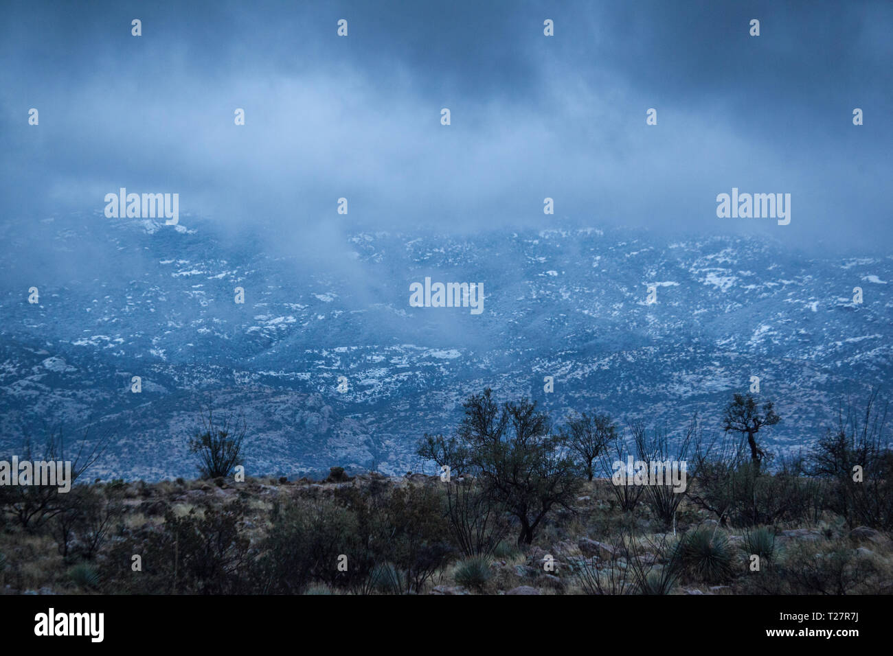 Pass Redington Pima County, Arizona, Stati Uniti d'America Foto Stock