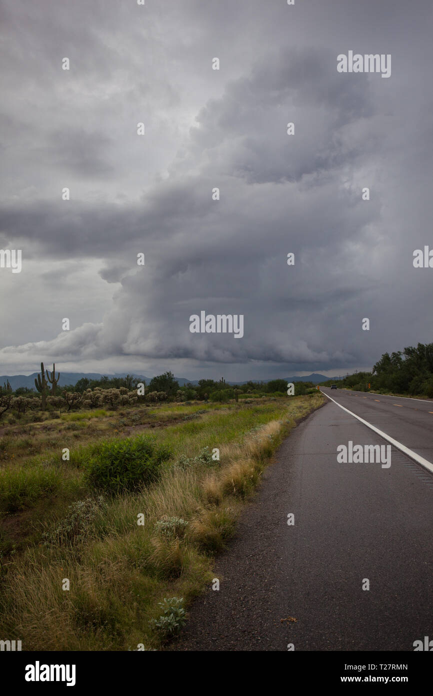 Tohono O'odham Nation Pima County, Arizona, Stati Uniti d'America Foto Stock