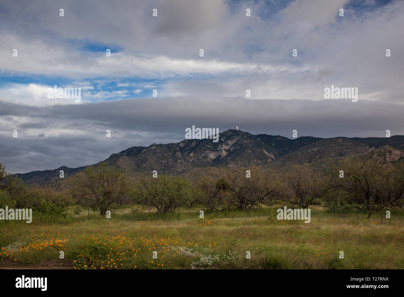 Kitt Peak Pima County, Arizona, Stati Uniti d'America Foto Stock