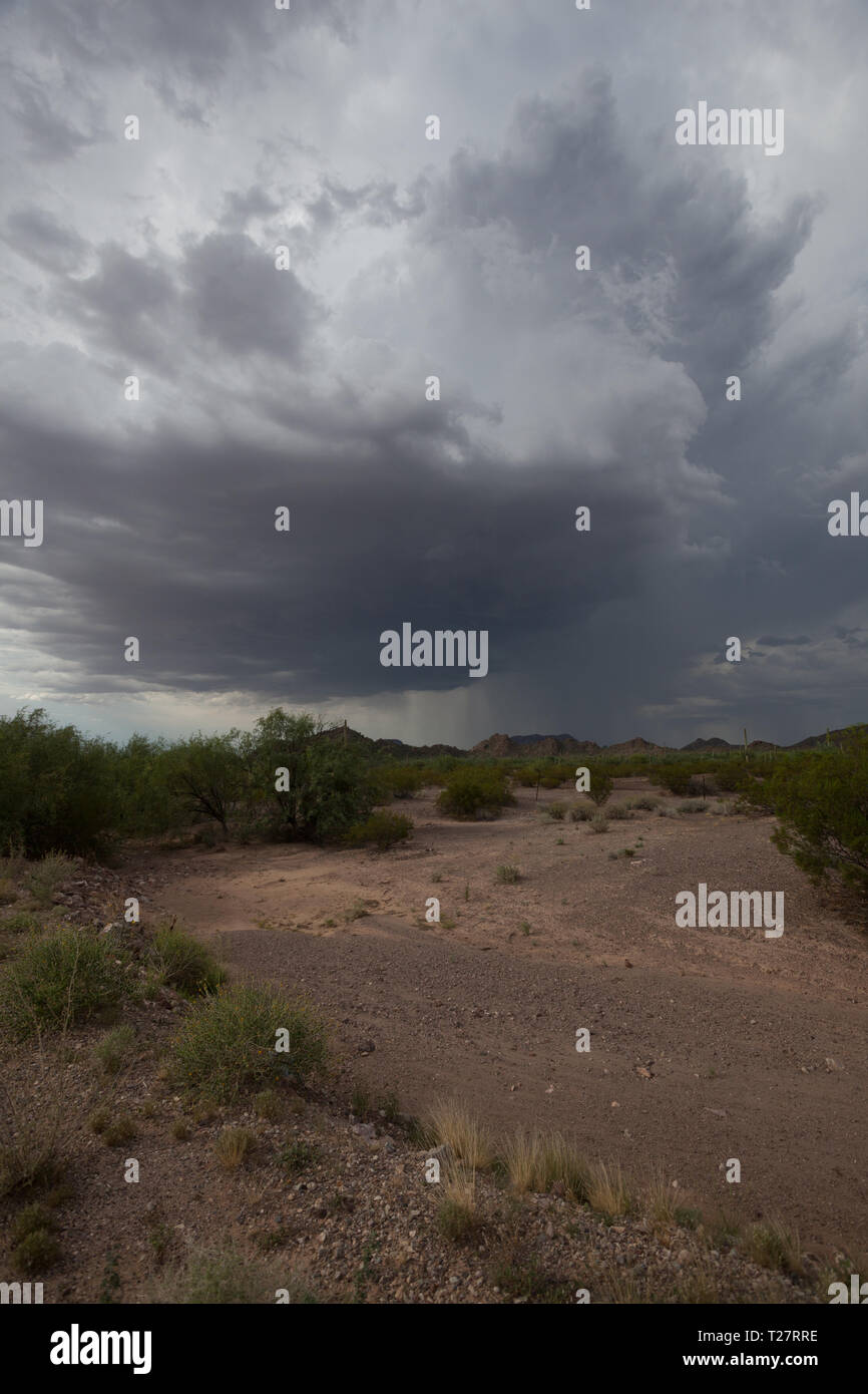 Ajo Pima County, Arizona, Stati Uniti d'America Foto Stock