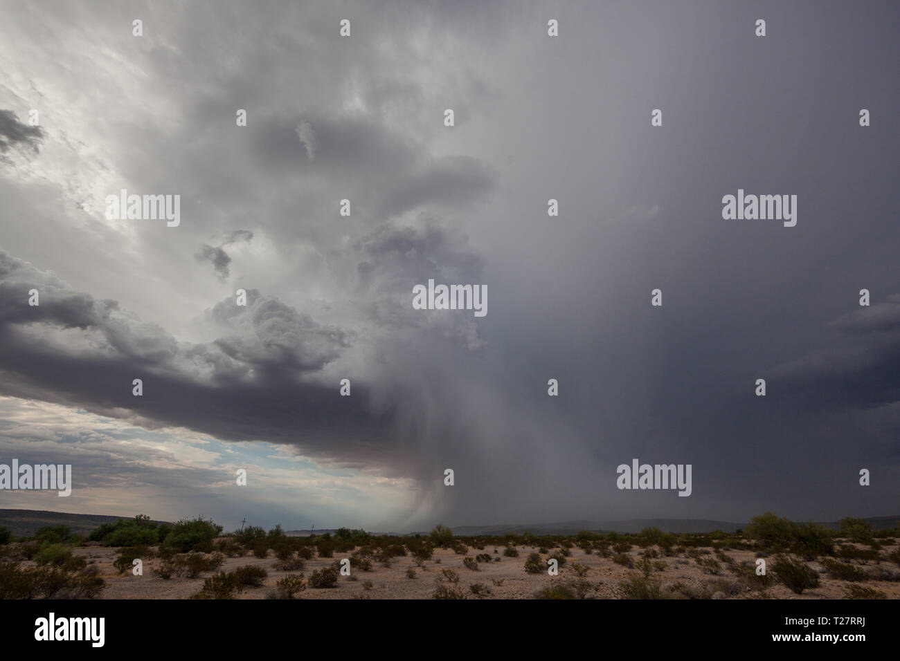 Ajo Pima County, Arizona, Stati Uniti d'America Foto Stock