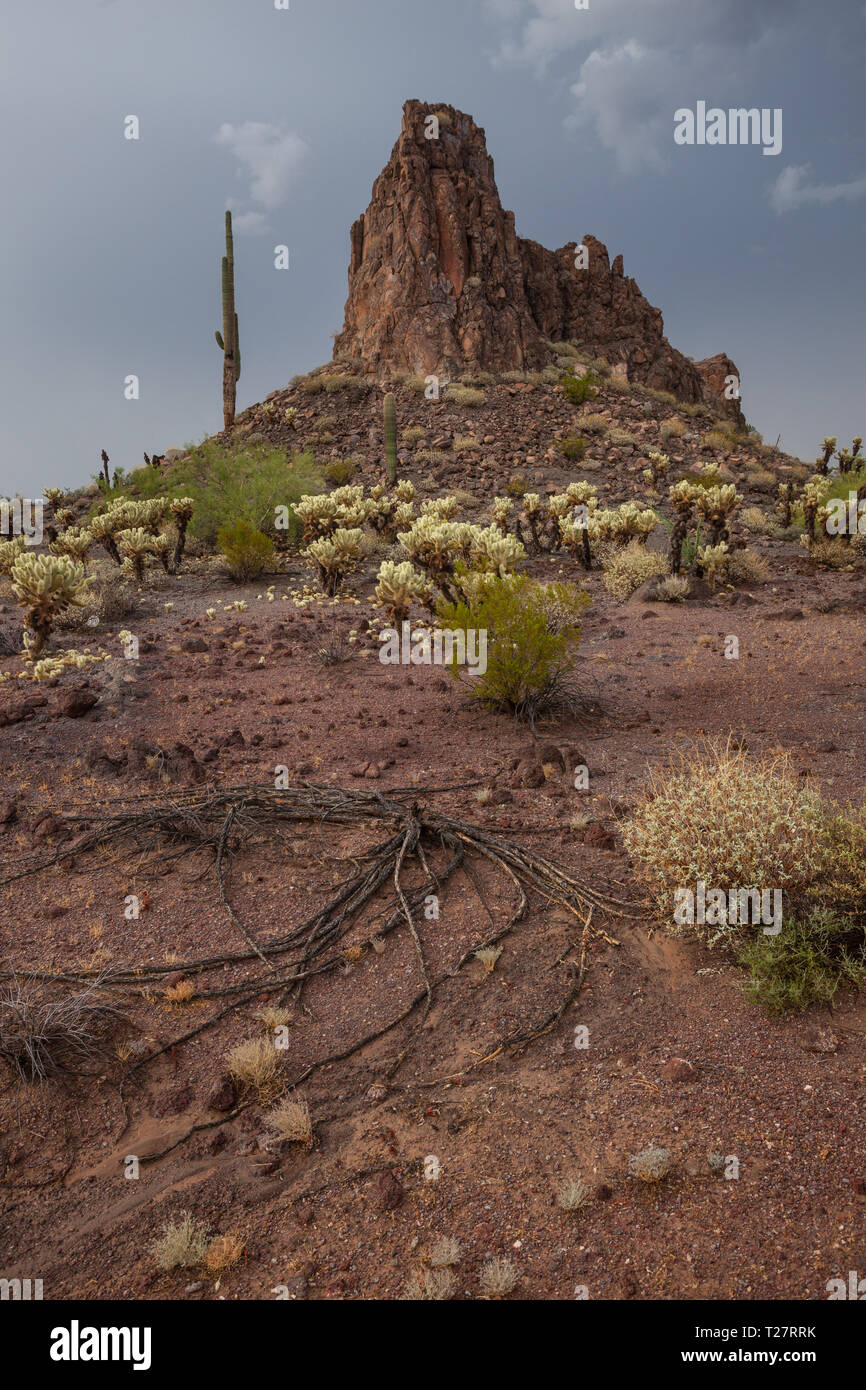 Gamma del cratere, Maricopa County, Arizona, Stati Uniti d'America Foto Stock