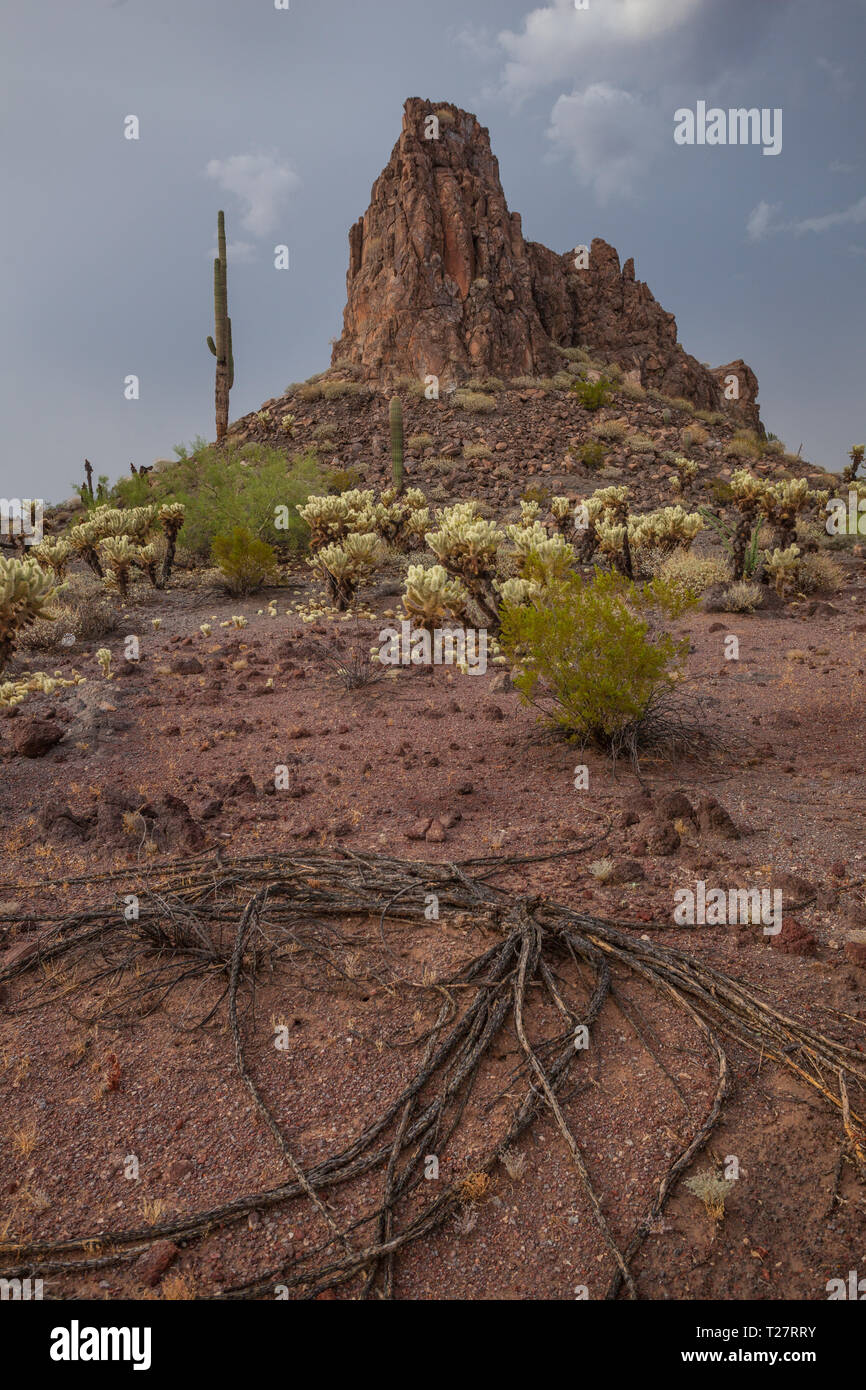 Gamma del cratere, Maricopa County, Arizona, Stati Uniti d'America Foto Stock