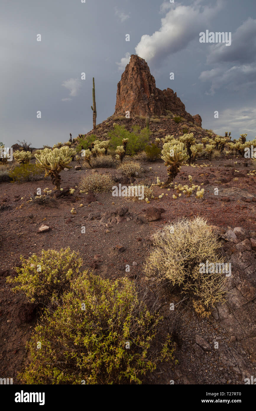 Gamma del cratere, Maricopa County, Arizona, Stati Uniti d'America Foto Stock