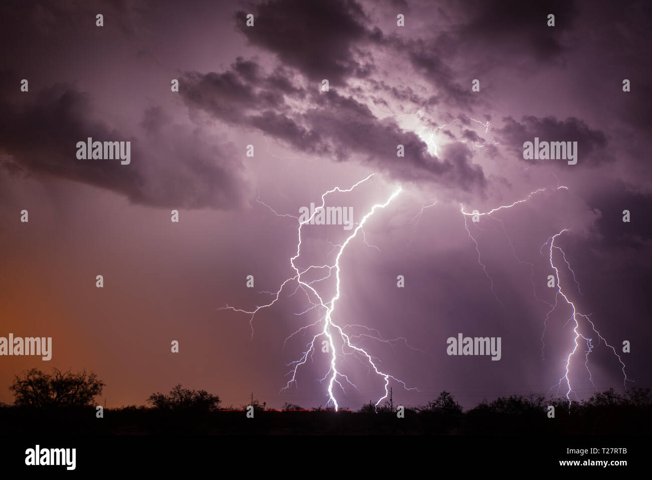 Tucson Pima County, Arizona, Stati Uniti d'America Foto Stock