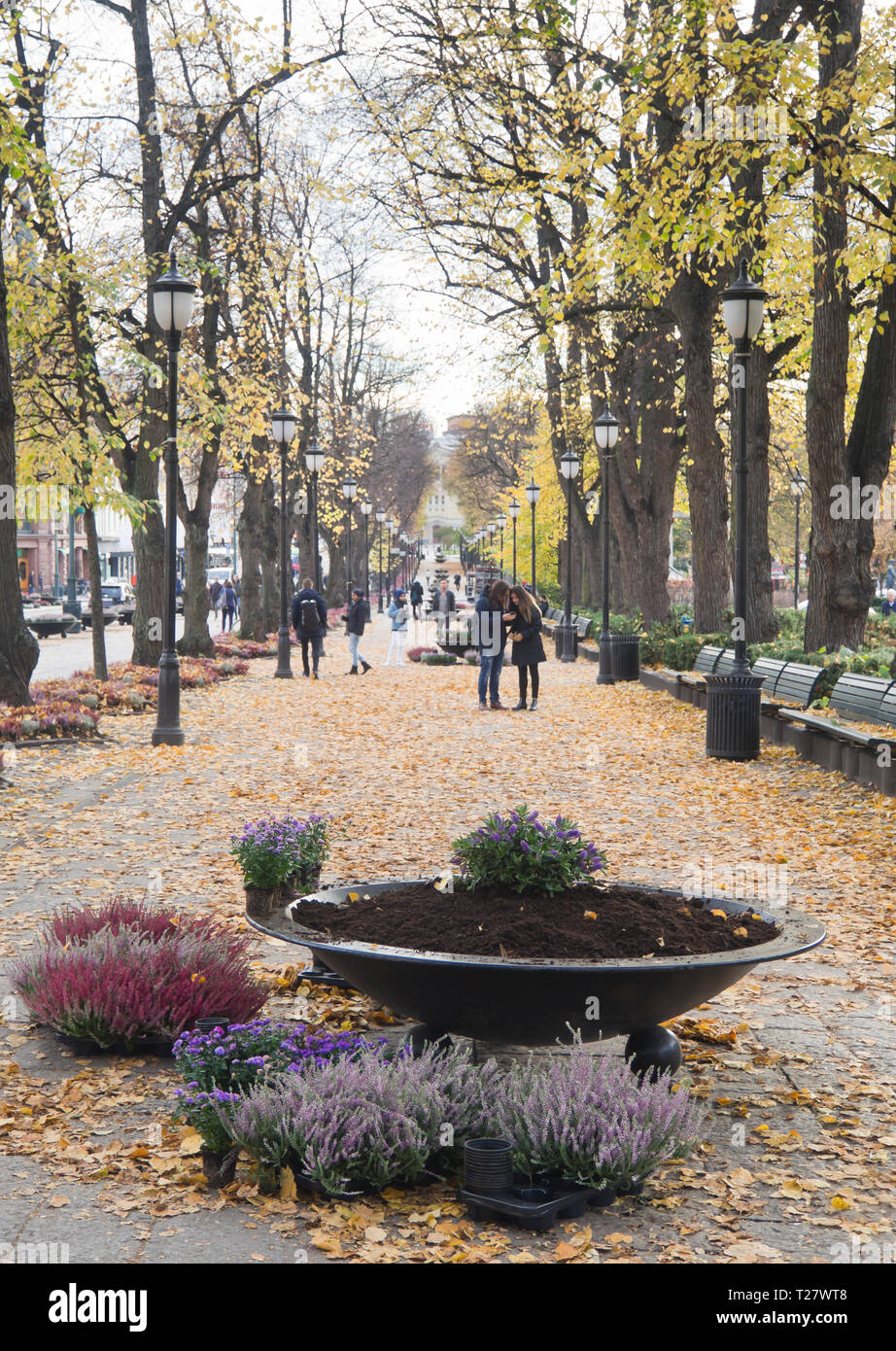 Autunno nella capitale norvegese Oslo, comunali fioriere in Karl Johan street di essere ripiantati con Erica e fiori Aster Foto Stock