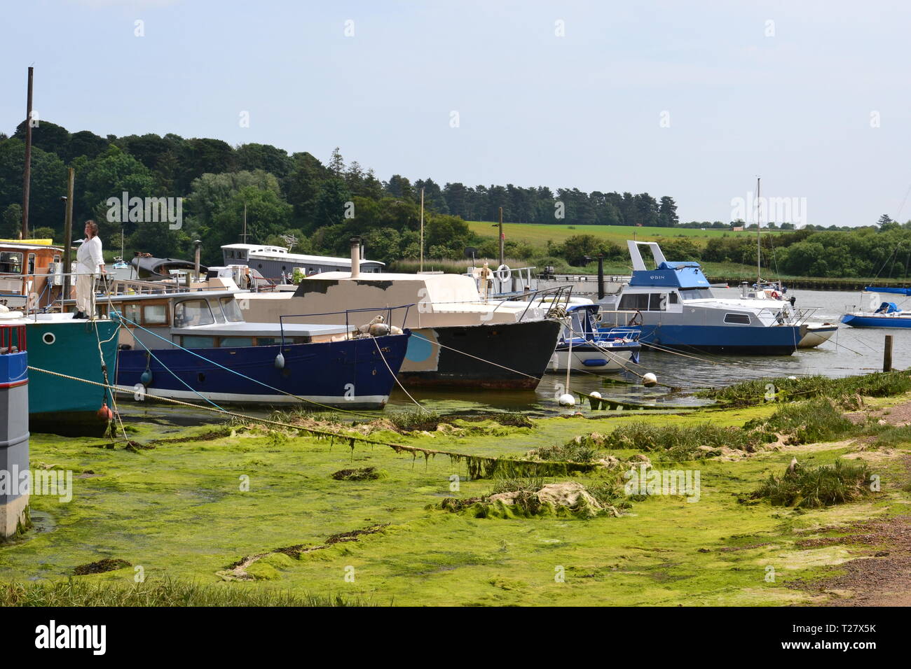 Tidemill Yacht Harbour, Woodbridge, Suffolk, East Anglia, England, Regno Unito Foto Stock