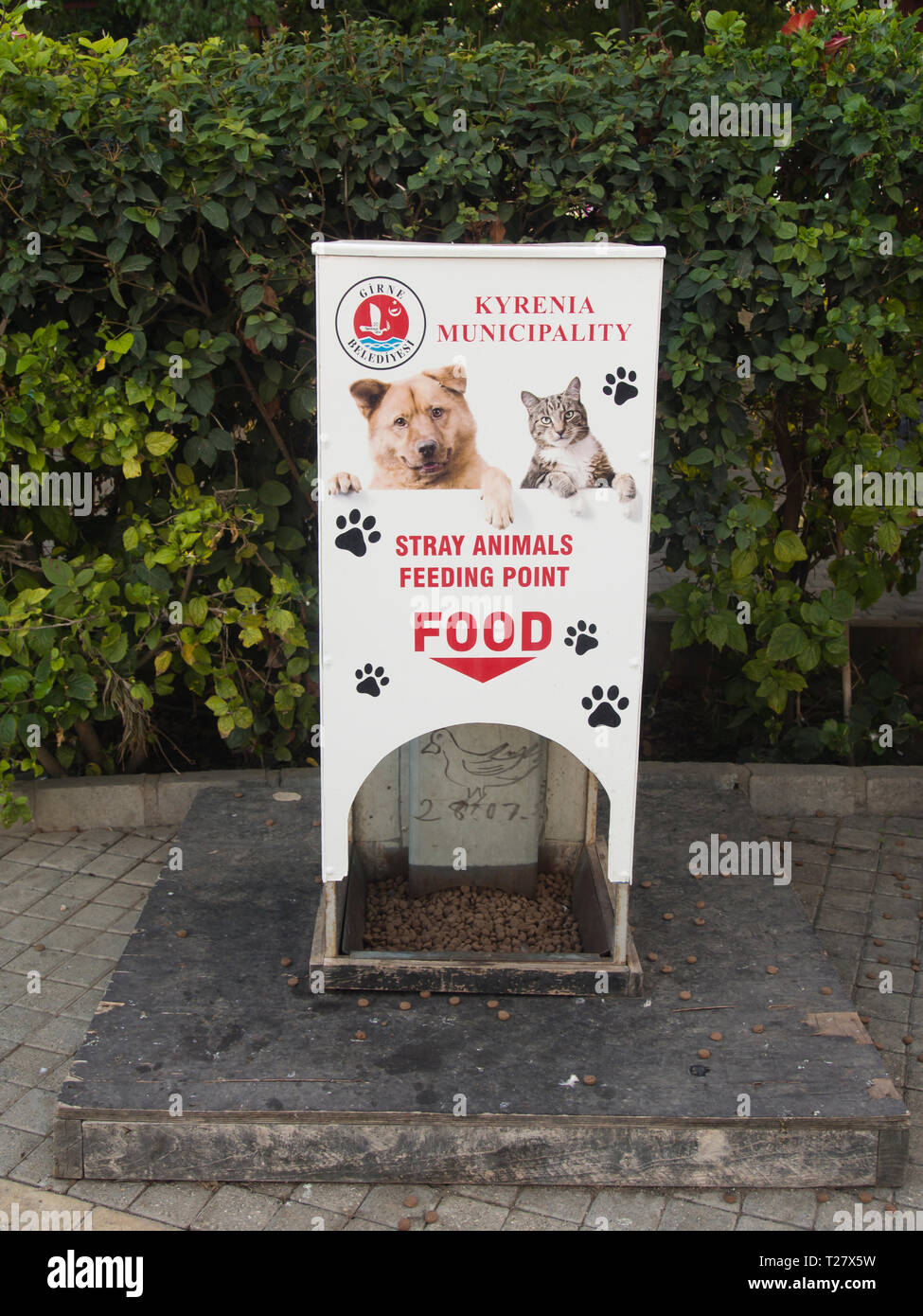 Raggiungere fuori per aiutare il cibo per cani e gatti randagi in turco-cipriota Girne città ( Kyrenia) Foto Stock