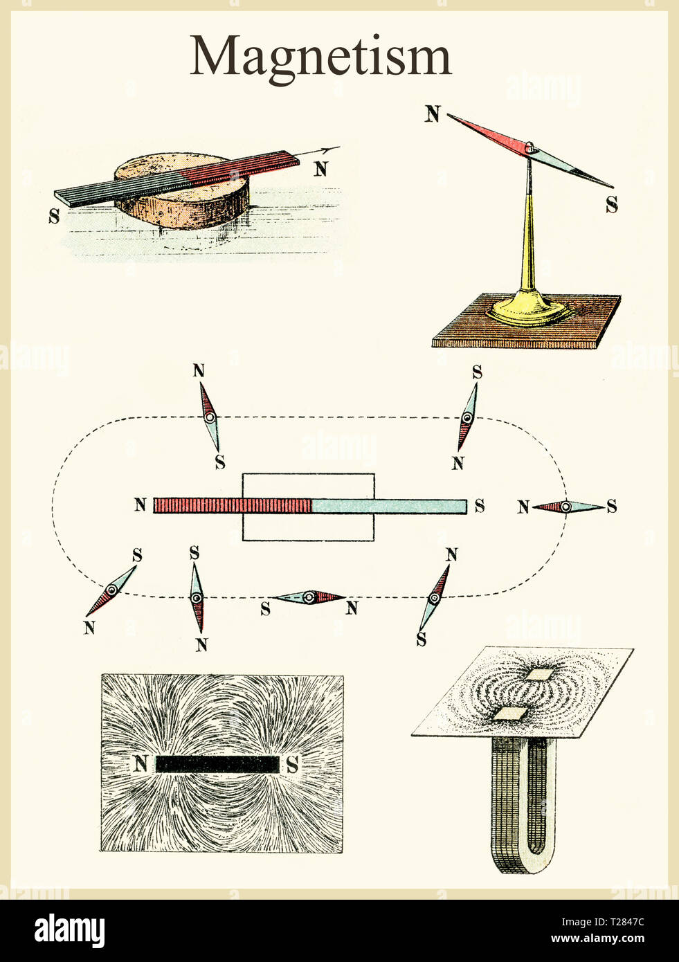 Il magnetismo: correnti elettriche e i momenti magnetici di particelle elementari interagiscono producendo un campo magnetico, Foto Stock