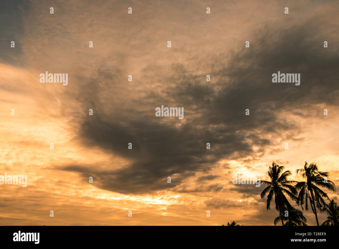 Il Cloud sky golden sunset forma simile a Phoenix Foto Stock