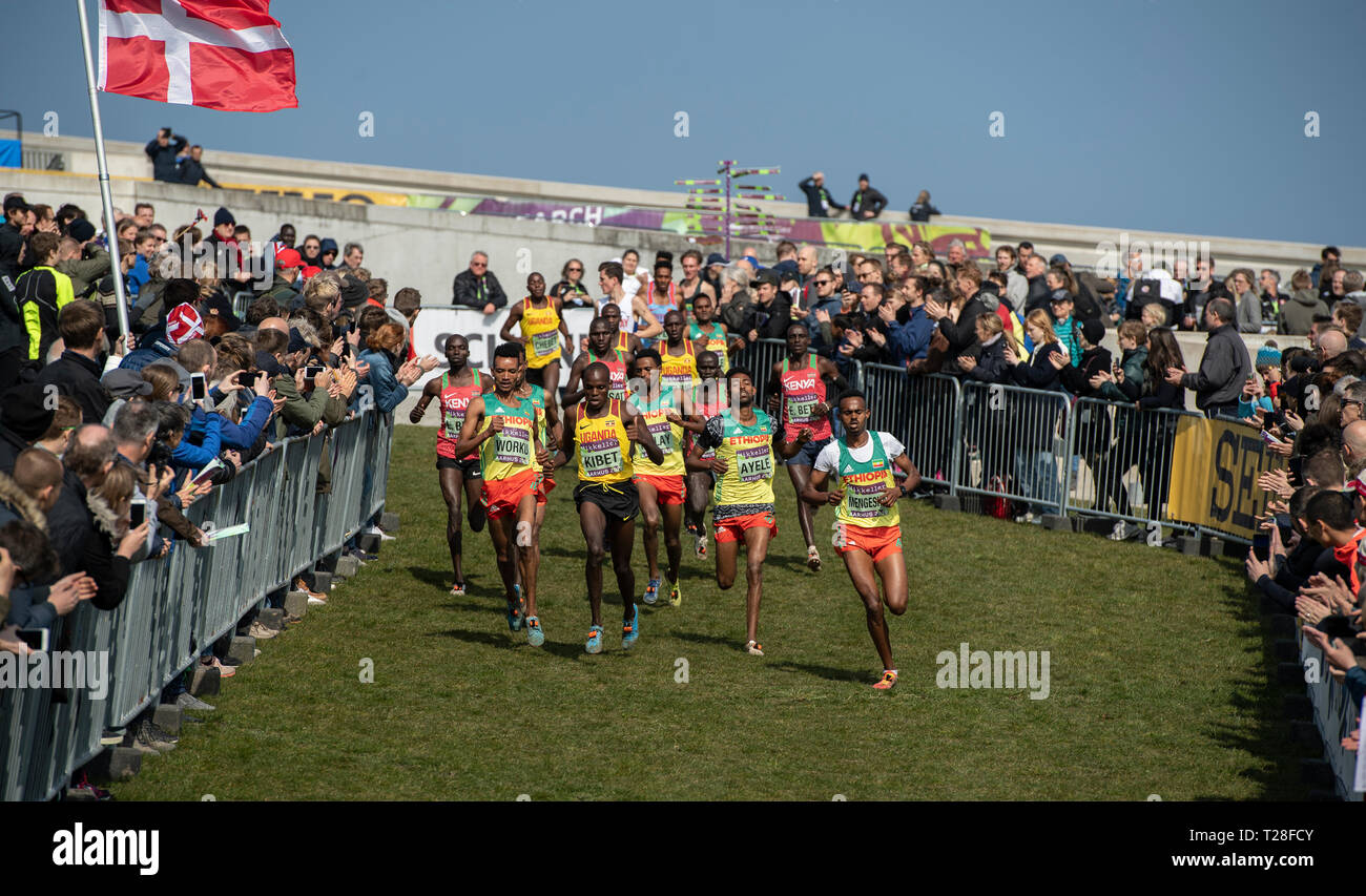 U20 Uomini di razza, IAAF World Cross Country Championships 2019 Foto Stock