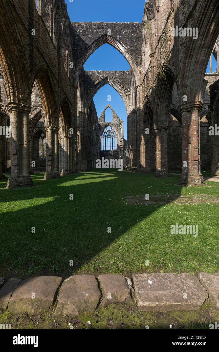 Le rovine di Tintern Abbey in Monmouthshire, Galles del Sud Foto Stock