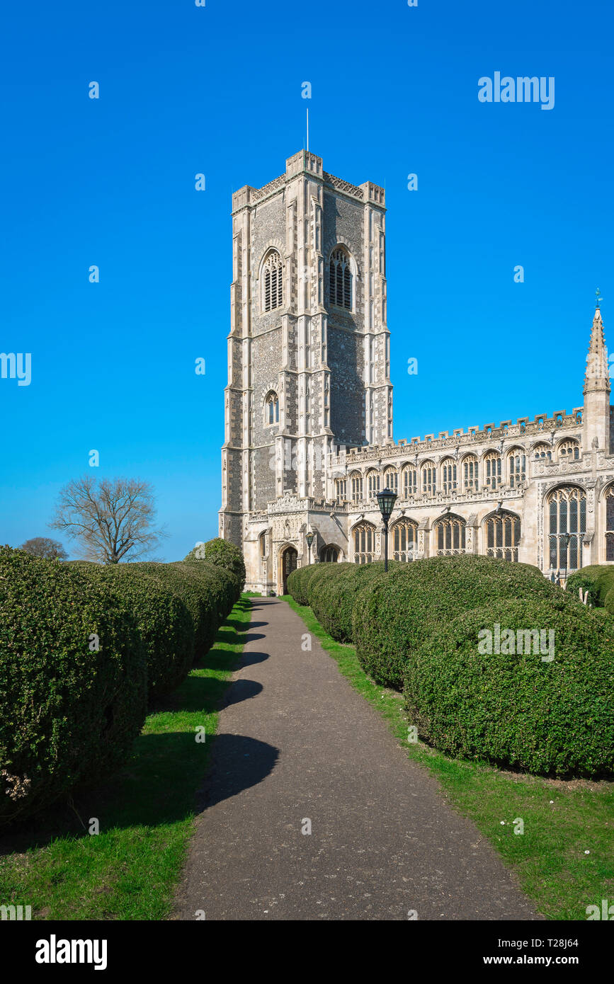 Lavenham Chiesa, vista del 43m torre tardo medievale (1525) Chiesa di San Pietro e San Paolo nel Suffolk villaggio di Lavenham, Inghilterra, Regno Unito. Foto Stock