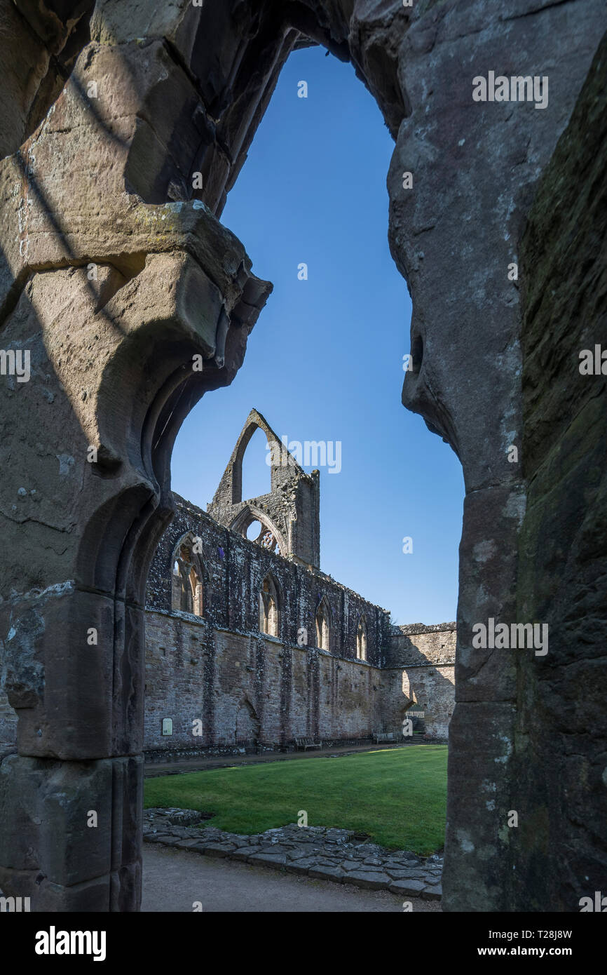 Le rovine di Tintern Abbey in Monmouthshire, Galles del Sud Foto Stock