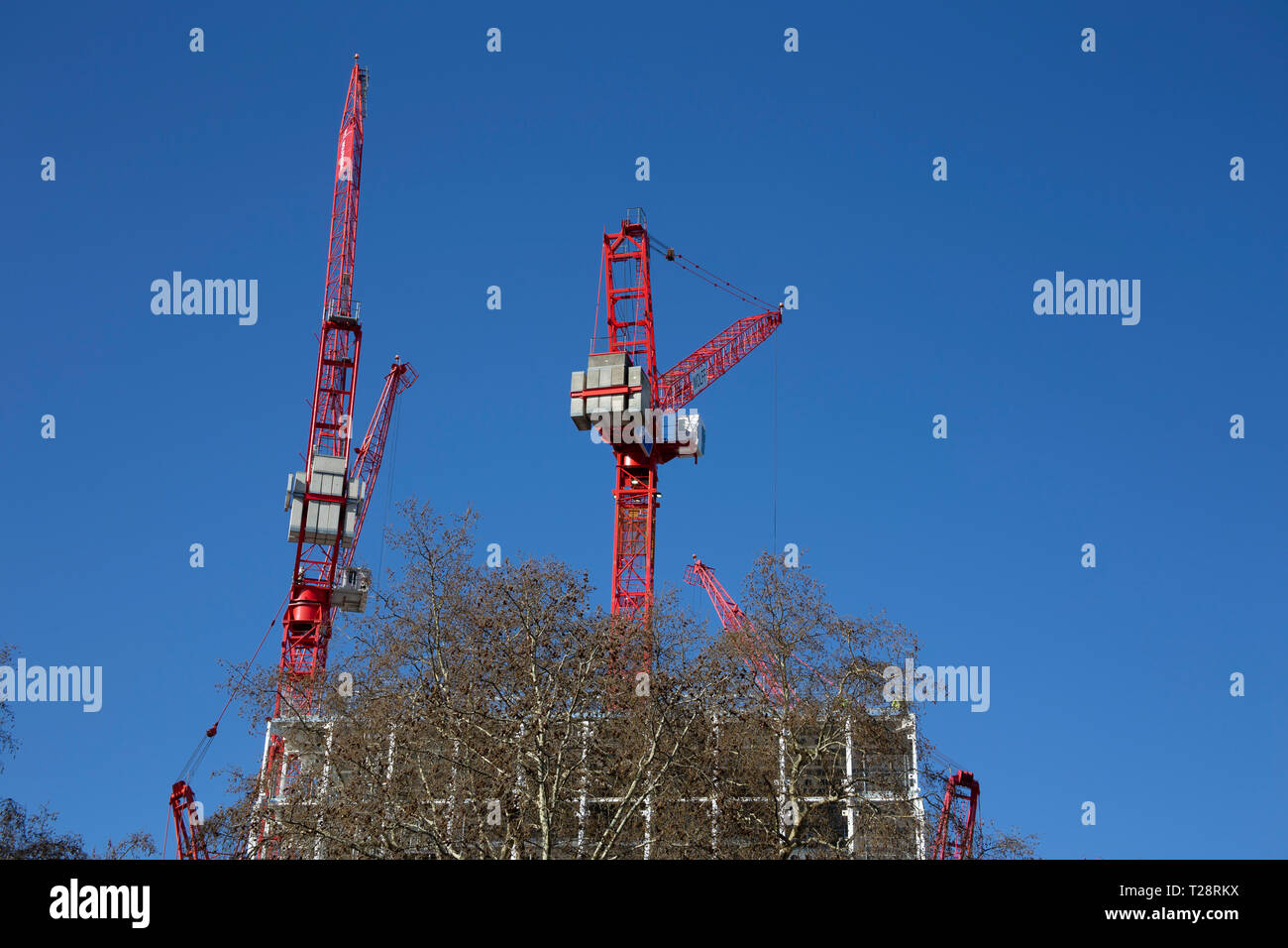 Gru contro un cielo blu su Londra Foto Stock