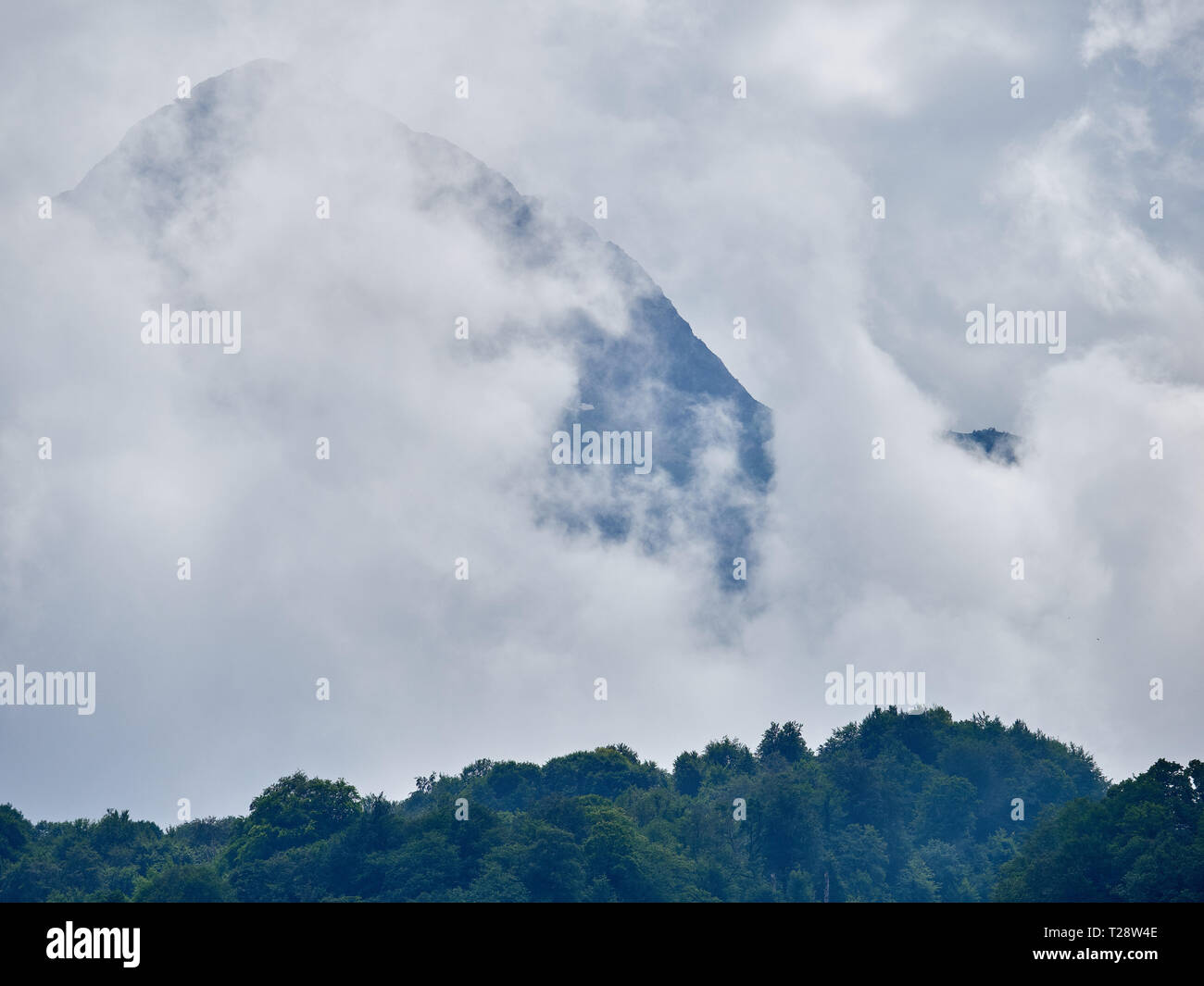 Alta montagna con verdi pendii nascosti nelle nubi e nebbia. Nero montagna piramidale, Krasnaya Polyana, Sochi, Caucaso, Russia. Foto Stock