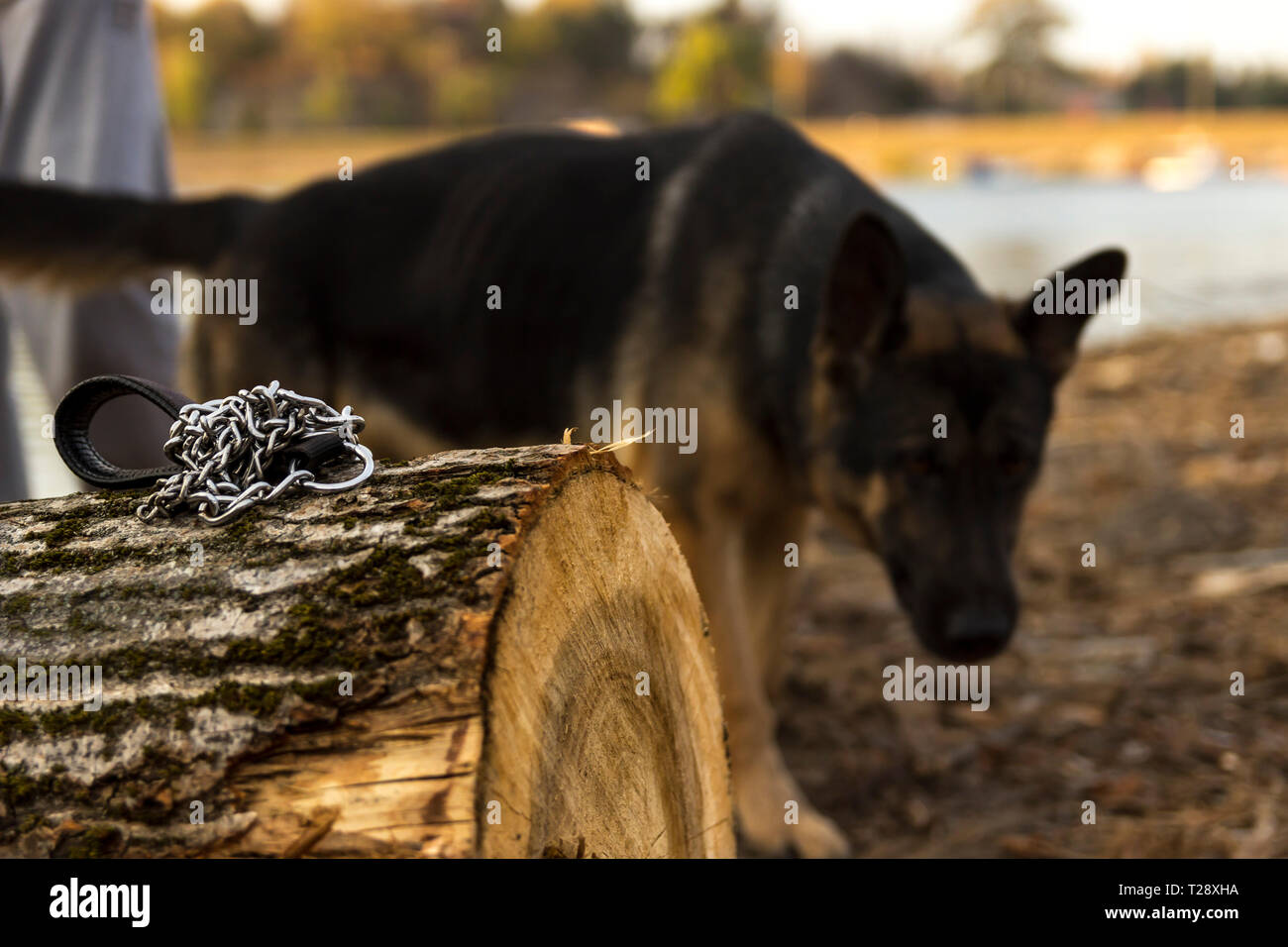 Libertà Foto Stock