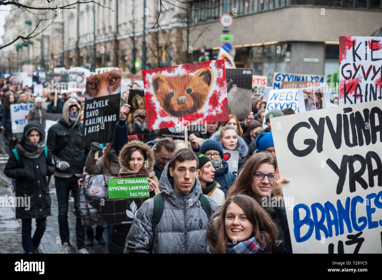 Una protesta contro l'industria conciaria a Vilnius, in Lituania. La Lituania ha ancora alcune aziende agricole in cui gli animali vengono coltivate esclusivamente per raccogliere la loro pelliccia. Foto Stock