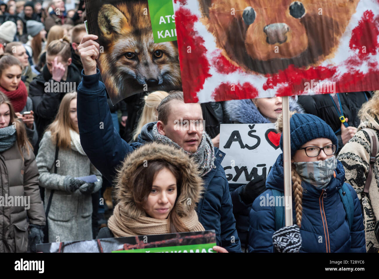 Una protesta contro l'industria conciaria a Vilnius, in Lituania. La Lituania ha ancora alcune aziende agricole in cui gli animali vengono coltivate esclusivamente per raccogliere la loro pelliccia. Foto Stock