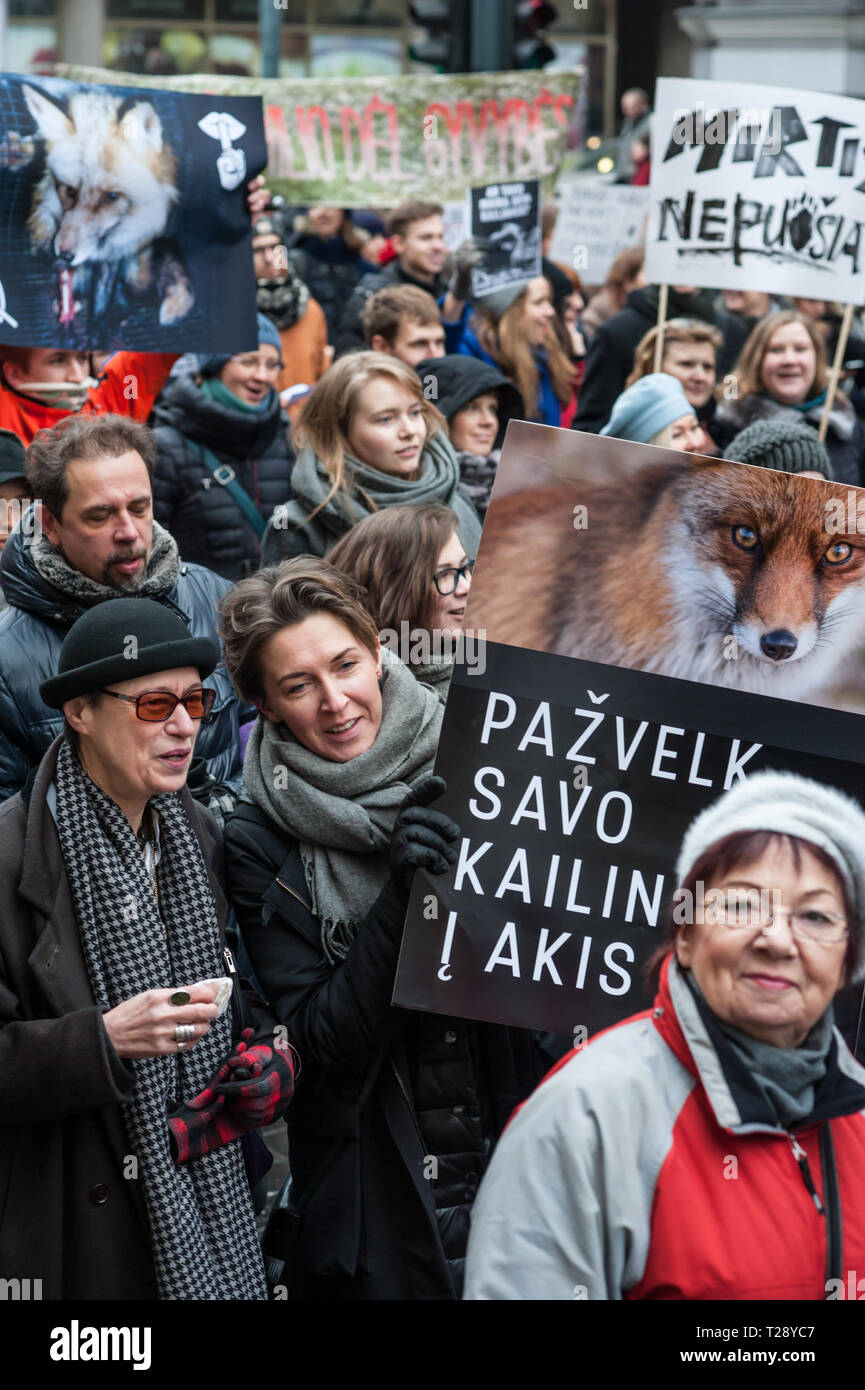 Una protesta contro l'industria conciaria a Vilnius, in Lituania. La Lituania ha ancora alcune aziende agricole in cui gli animali vengono coltivate esclusivamente per raccogliere la loro pelliccia. Foto Stock
