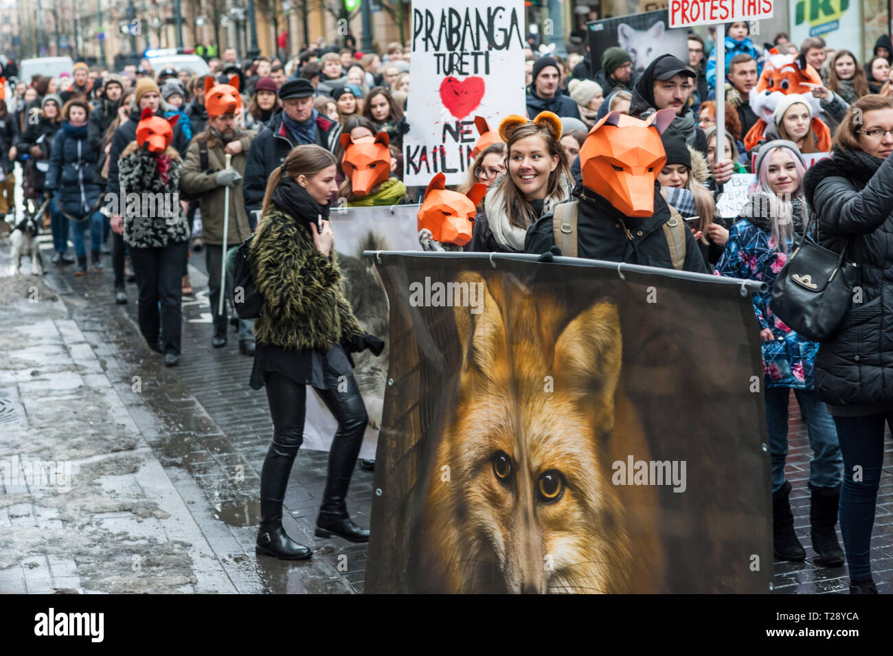 Una protesta contro l'industria conciaria a Vilnius, in Lituania. La Lituania ha ancora alcune aziende agricole in cui gli animali vengono coltivate esclusivamente per raccogliere la loro pelliccia. Foto Stock