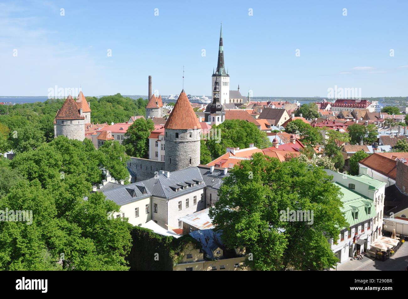 Tetti di Tallinn Foto Stock