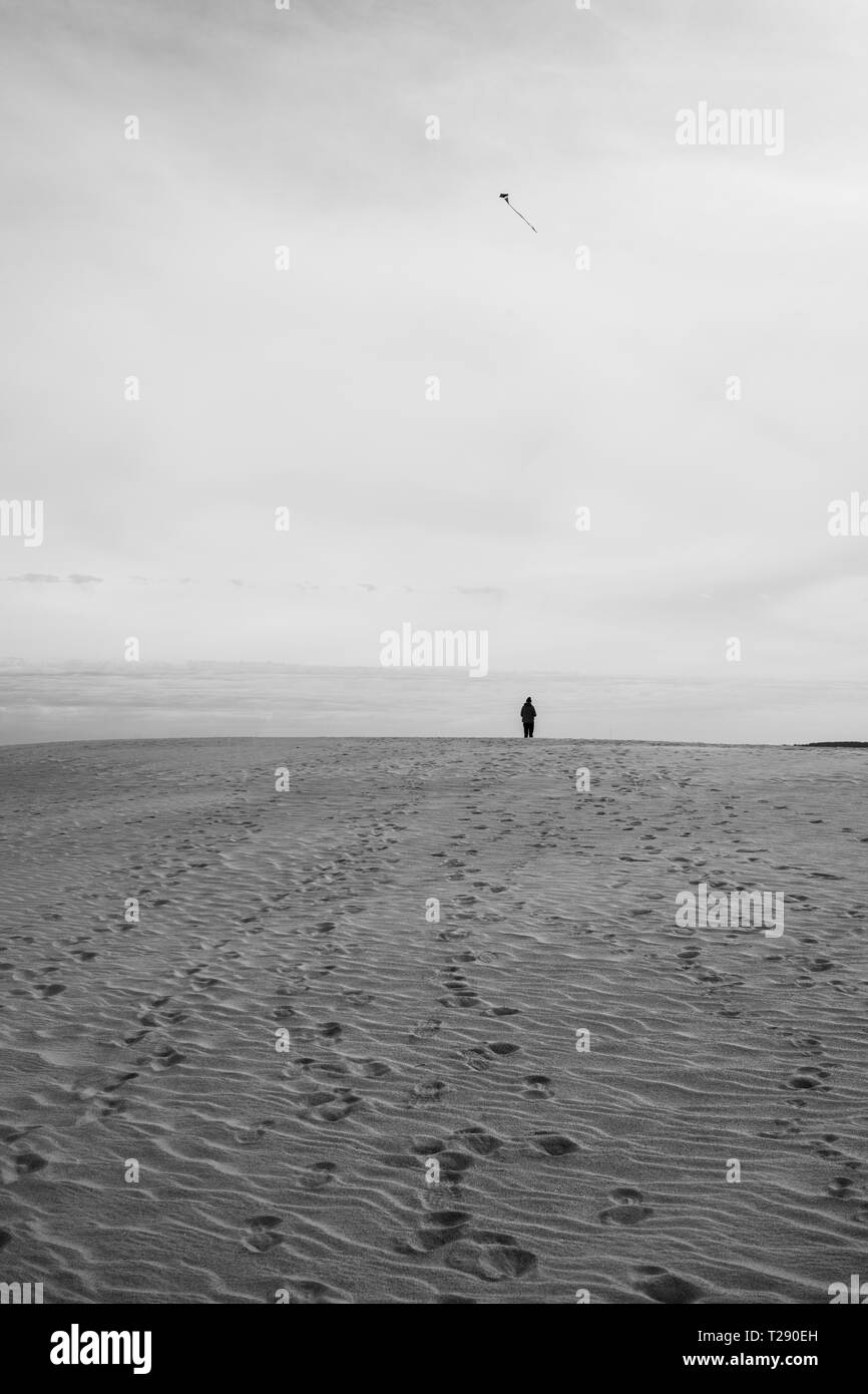 Volare un aquilone sulla giant dune di sabbia del Jockey Crinale del Parco dello Stato nella Outer Banks del North Carolina Foto Stock