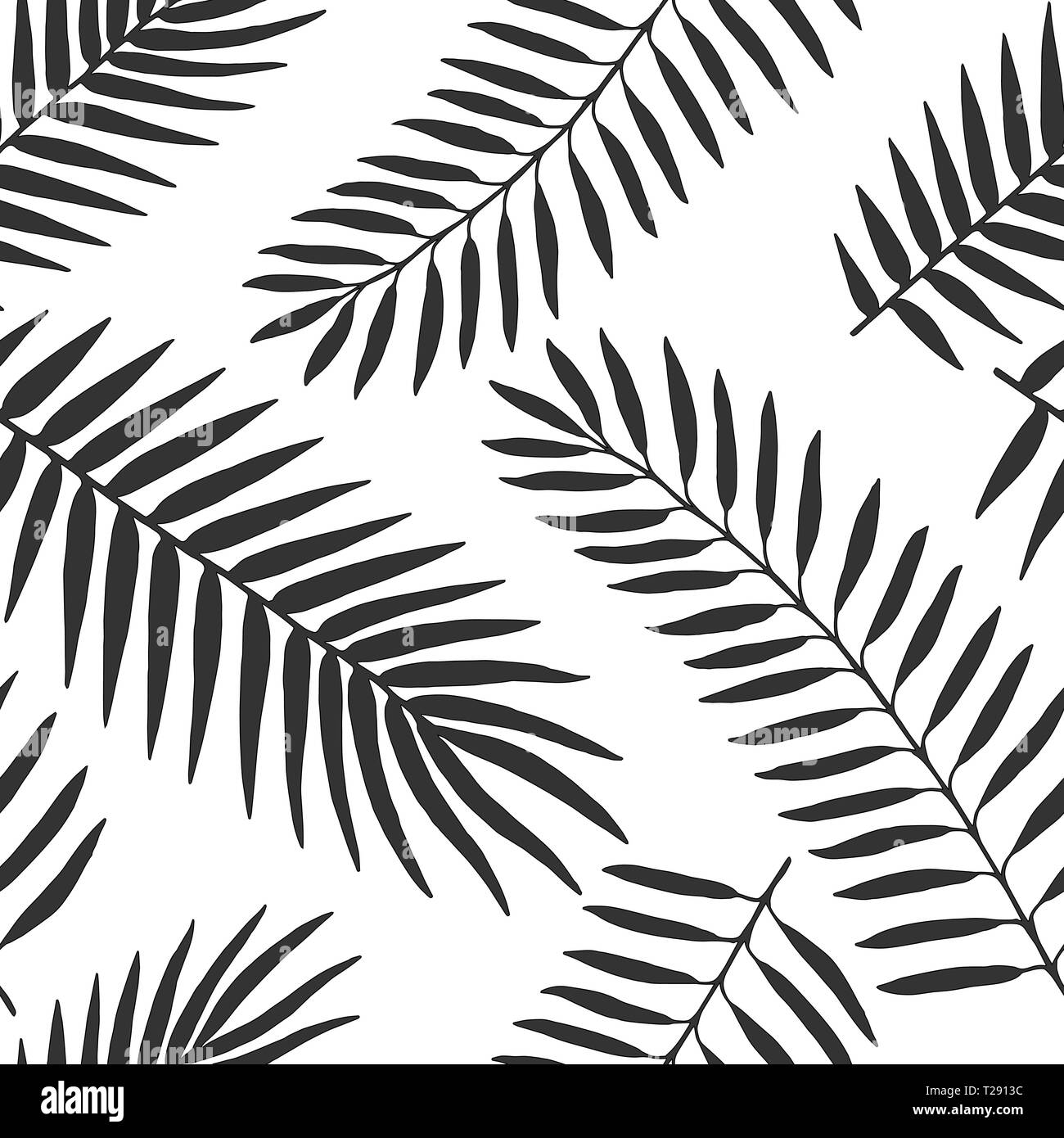 Disegnata a mano vector in bianco e nero di foglie di palma pattern senza giunture Illustrazione Vettoriale