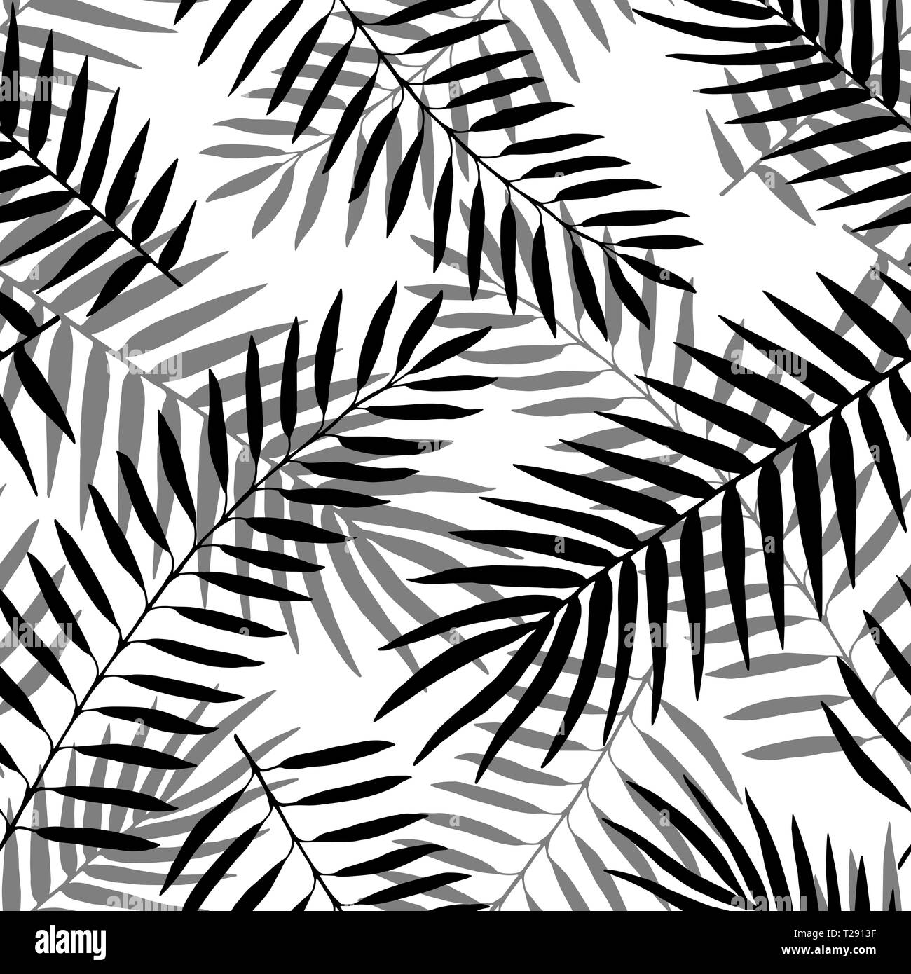 Disegnata a mano vector in bianco e nero di foglie di palma pattern senza giunture Illustrazione Vettoriale