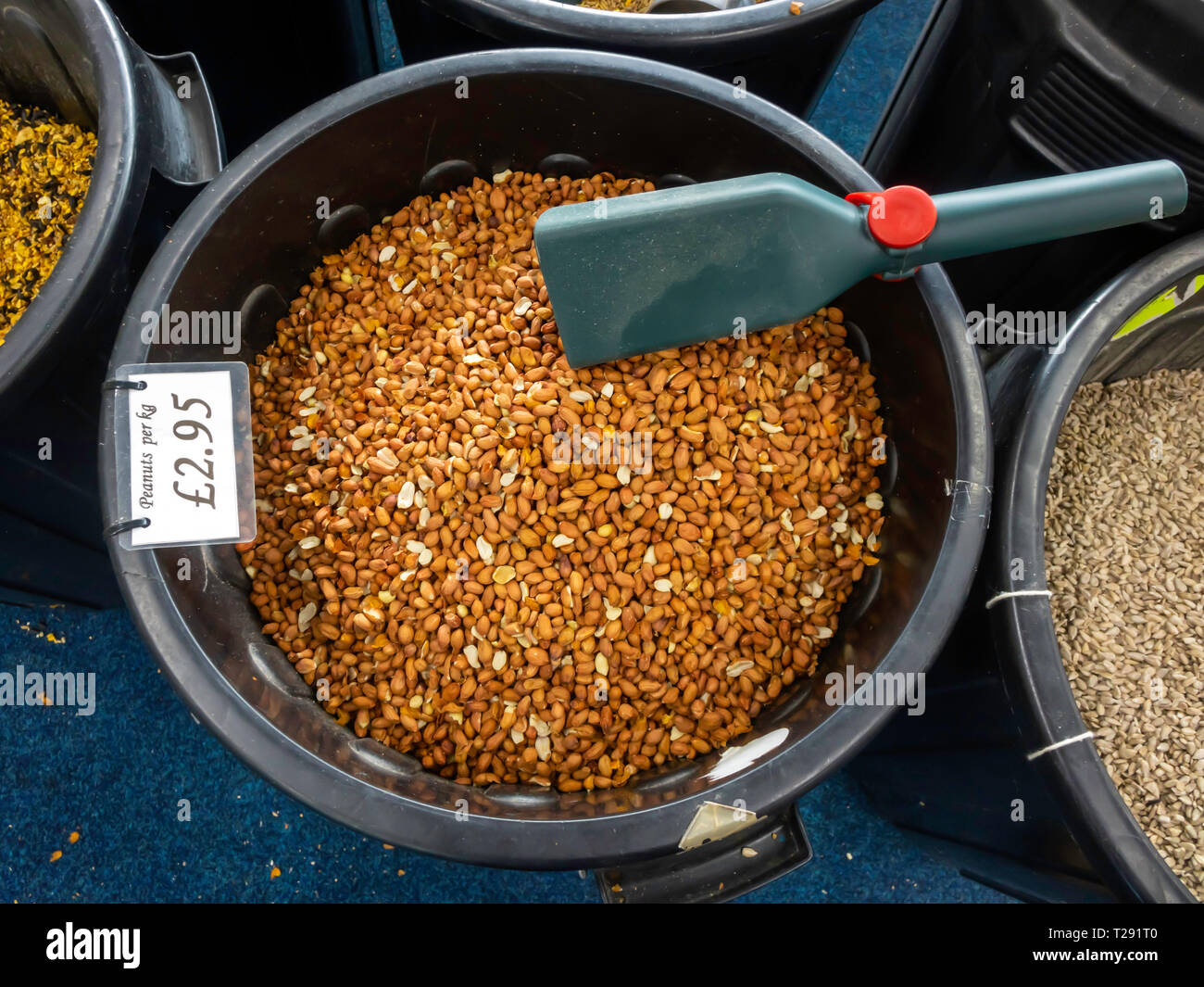 Ingombro per le arachidi in vendita in un giardino centro per l'alimentazione di uccelli selvatici al prezzo di £2,95 per chilogrammo Foto Stock