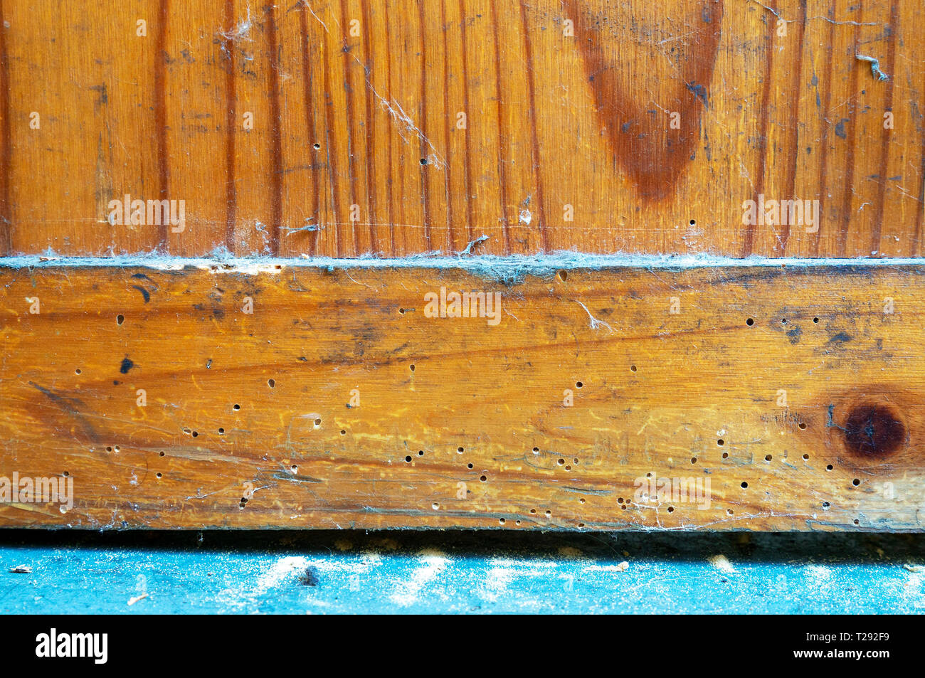 Il Tarlo fori in mobili con polvere di legno sul pavimento Foto Stock