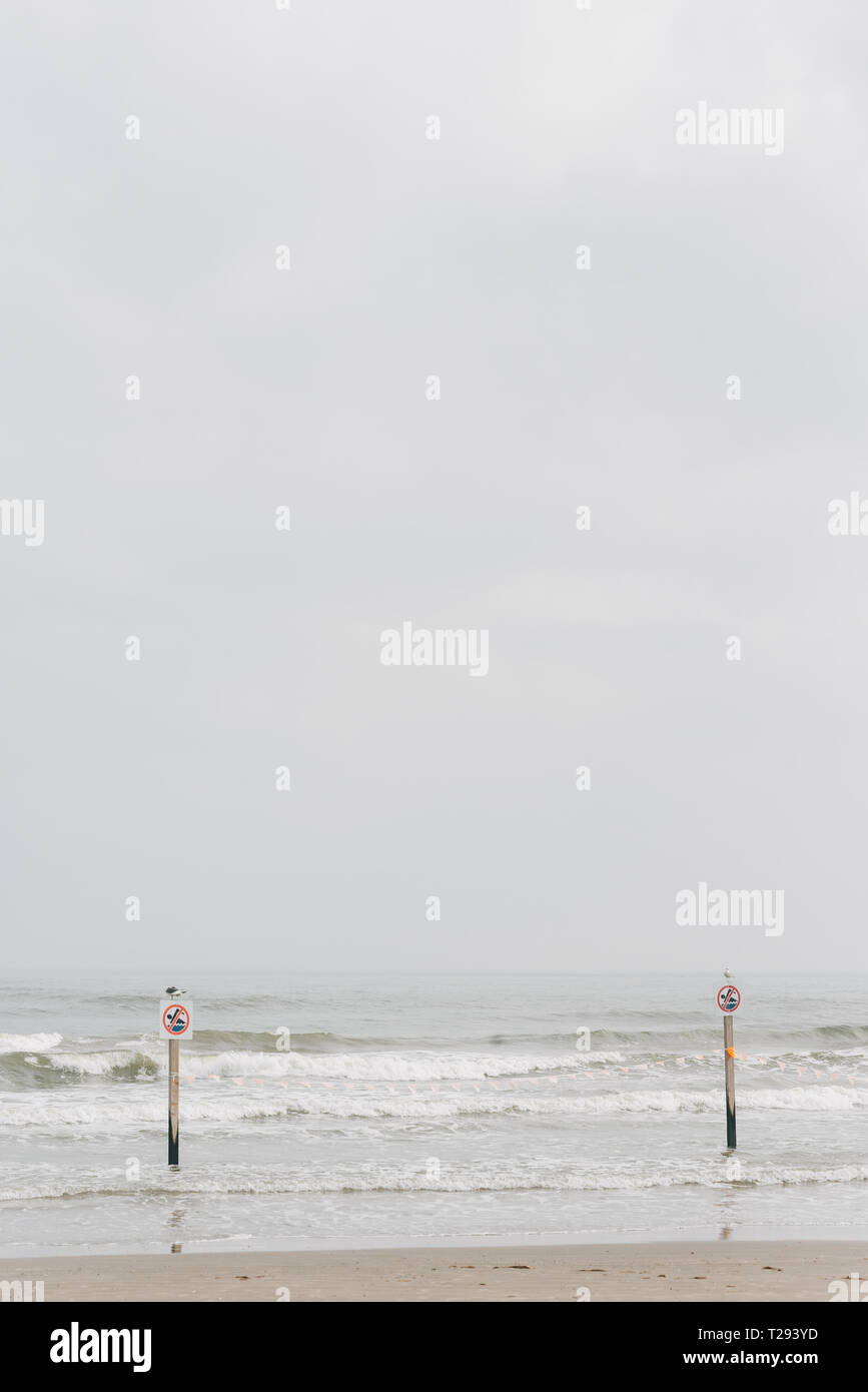Non si può nuotare segni sulla spiaggia in Galveston, Texas Foto Stock