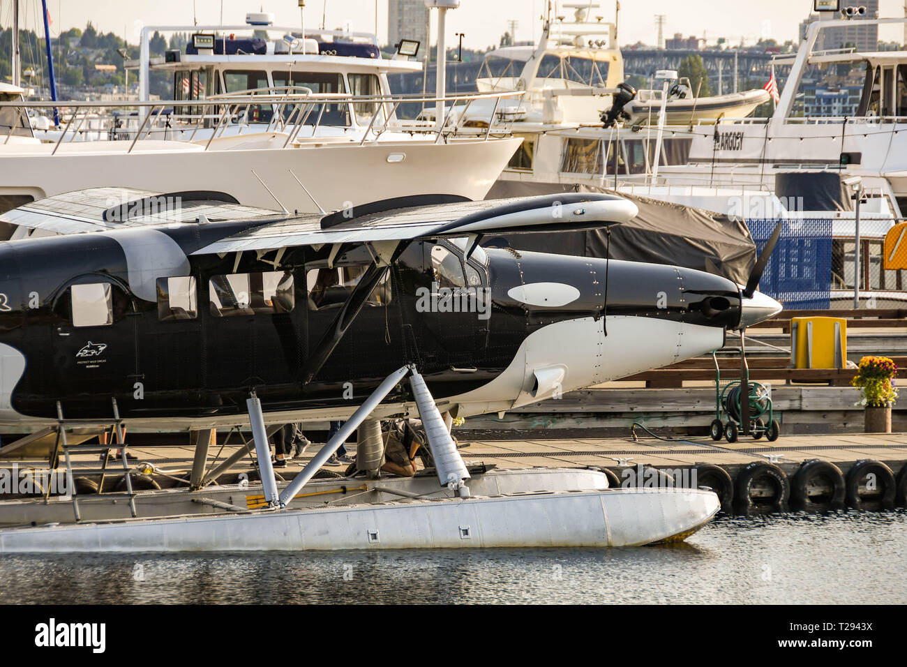 SEATTLE, WA, Stati Uniti d'America - Giugno 2018: De Havilland turbina Otter float plane con 'Killer Whale' design verniciatura, azionato da aria a Kenmore all'alba Foto Stock