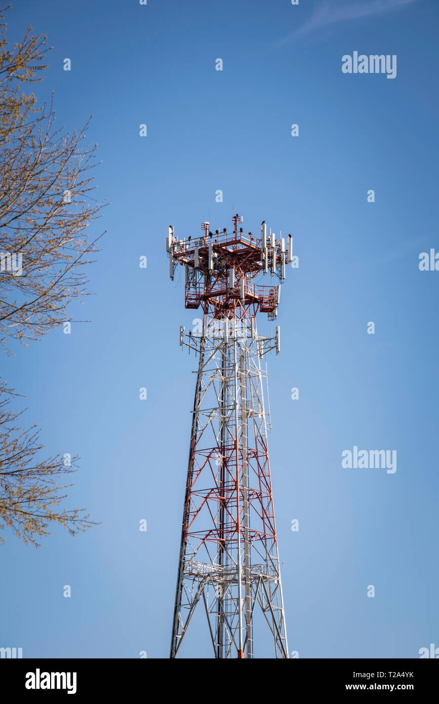 Una torre metallica indipendente per cellulare giustapposta con una porzione di albero e posta contro un cielo azzurro limpido e senza nuvole. Foto Stock