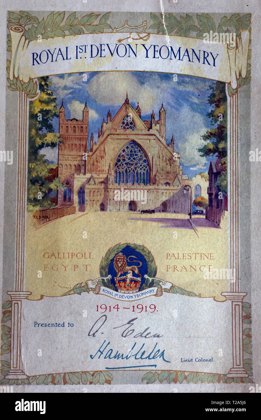 1a,primo,Mondo,guerra,certificato,d,servizio,il badge, cappuccio,Royal,Devon,Yeomanry,Gallipoli,l'Egitto,Palestina,Francia,1914-1919,Albert Robert Eden, Foto Stock