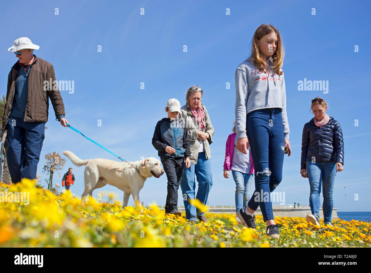 Una famiglia e il loro cane a camminare lungo la passeggiata, Sea Point, Città del Capo. Foto Stock