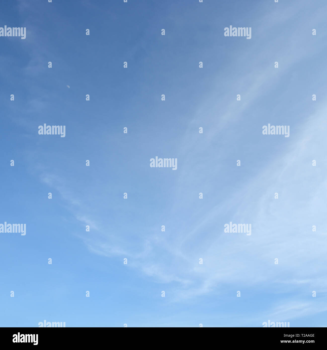 Nuvola Bianca sul cielo blu Foto Stock