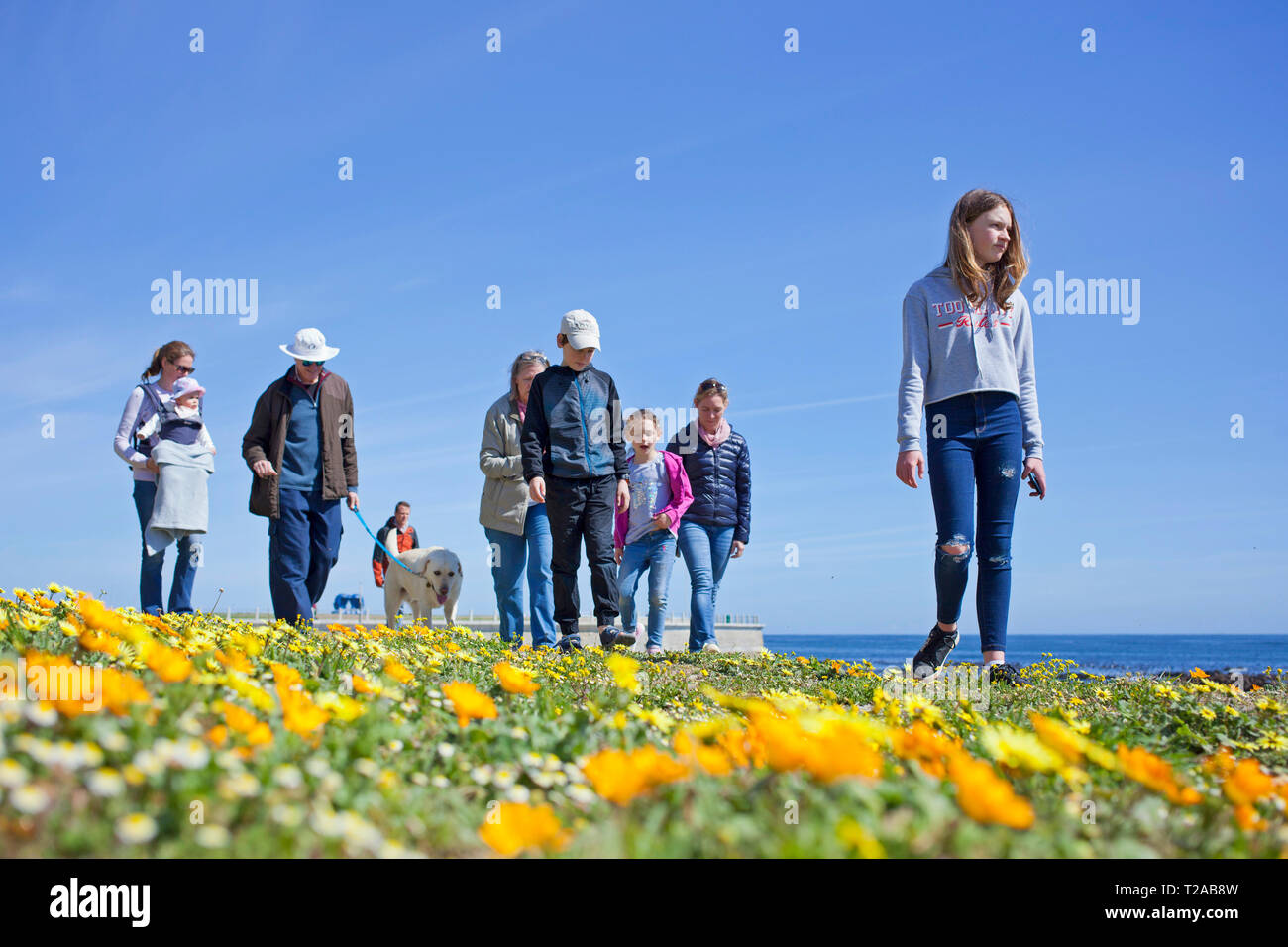 Una famiglia e il loro cane a camminare lungo la passeggiata, Sea Point, Città del Capo. Foto Stock
