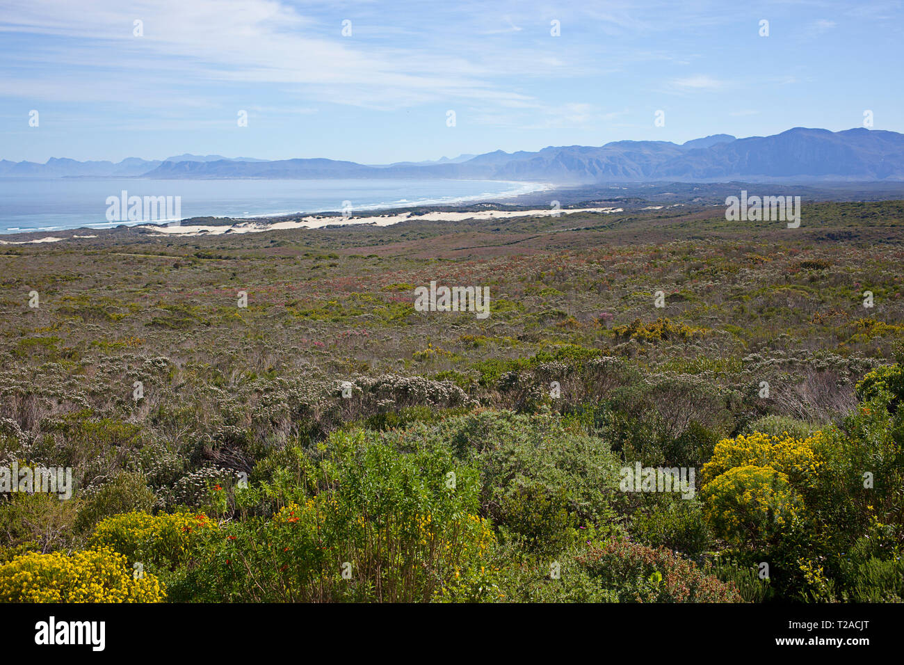 Forest Lodge Grootbos, Riserva Naturale Foto Stock