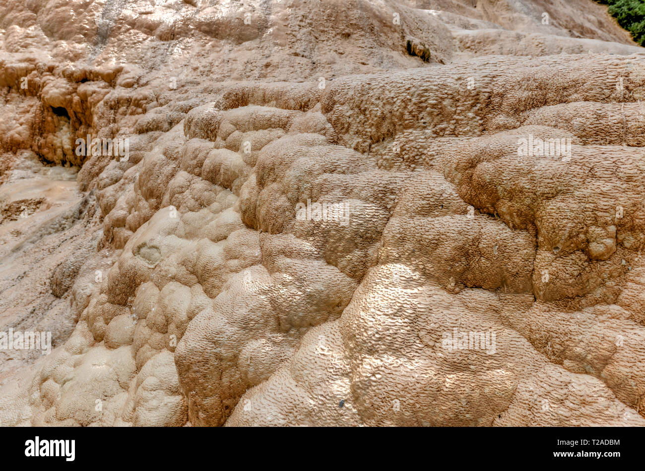 Rosso minerale acqua dalle sorgenti minerali in Gudauri nel Kazbegi distretto. Fonti di acqua minerale con fossili - Mtskheta - Regione Mtianeti, Geo Foto Stock