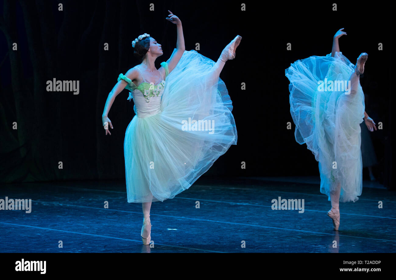 Ballerini da nazionale cubana Ballet eseguire per il Principe di Galles e la duchessa di Cornovaglia a gala performance culturale nel Gran Teatro de La Habana Alicia Alonso, a l'Avana, Cuba, come parte di un viaggio storico che celebra i legami culturali tra il Regno Unito e la stato comunista. Foto Stock