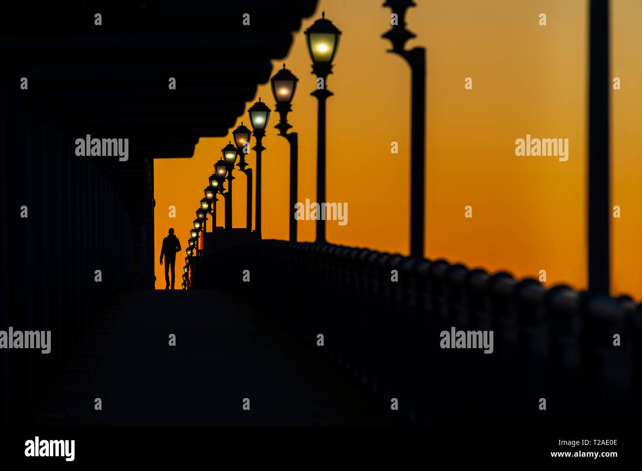 Uomo che cammina oltre il ponte sulla passerella con fila di Lamposts, Philadelphia, PA, Stati Uniti d'America Foto Stock