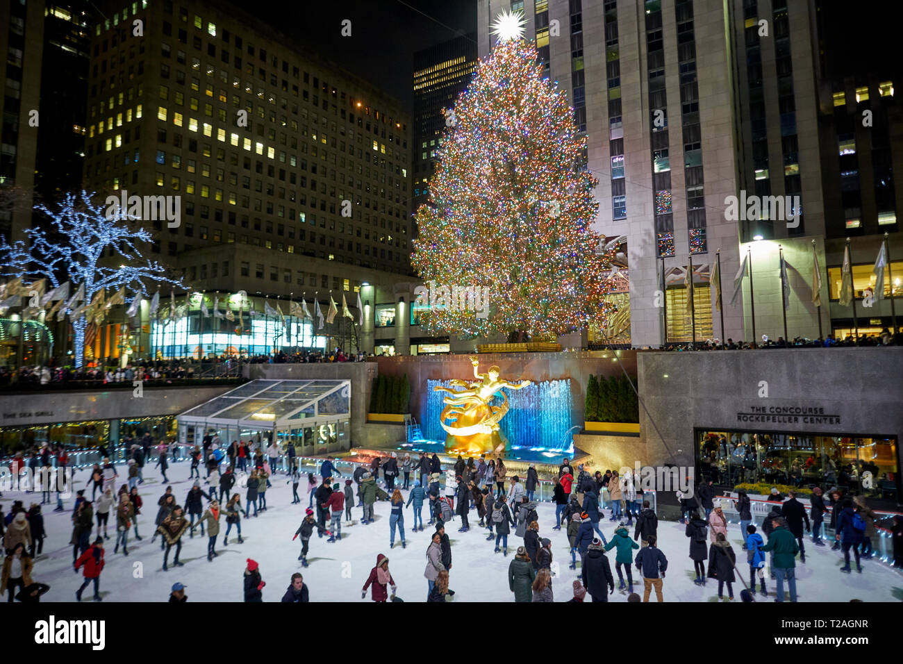 Le decorazioni di Natale Rockefeller Center Tree e fuori pista di pattinaggio su ghiaccio , Quinta Avenue, Manhattan, New York di notte Foto Stock