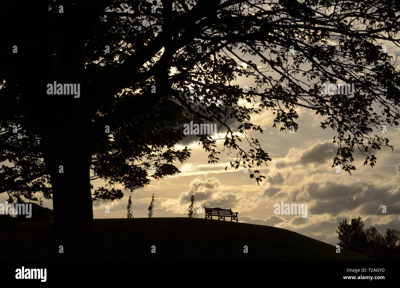 Silhouette di alberi e sede del parco al tramonto,sede vuota in un parco offre un luogo tranquillo e confortevole per il riposo e per tranquilla contemplazione. Foto Stock