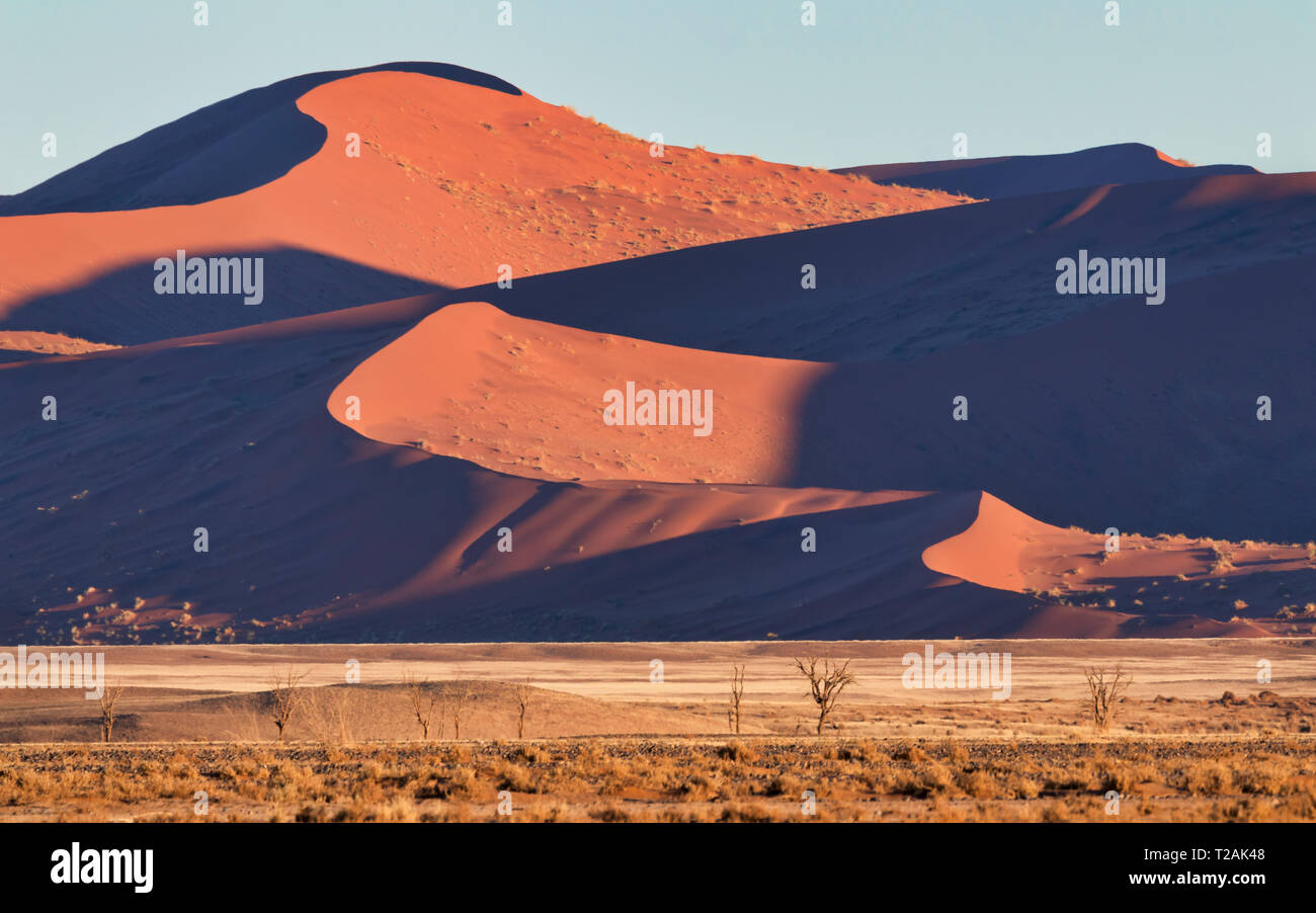 Dune di sabbia del deserto Foto Stock