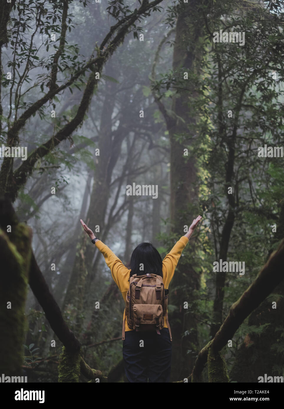 Donna asiatica backpacker bracci fino a foerest su sentieri naturali,Casa vacanza a foresta di pioggia Foto Stock